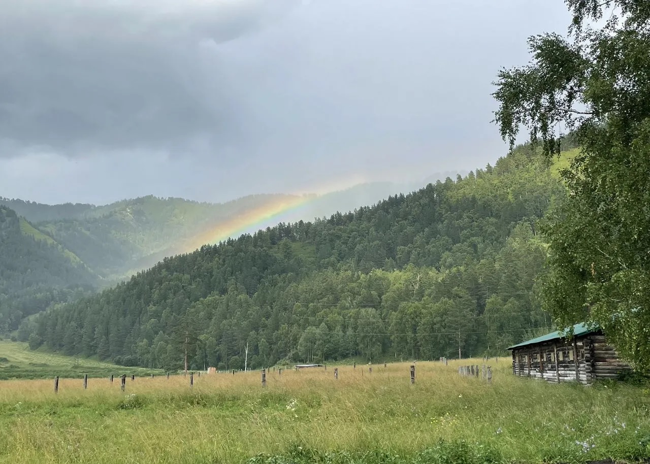 s alpaka-parkom-5.jpg