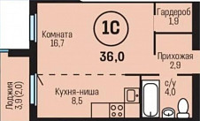 Планировка студии